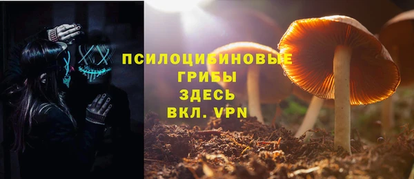 марки lsd Гусь-Хрустальный