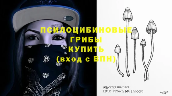 ПСИЛОЦИБИНОВЫЕ ГРИБЫ Горнозаводск