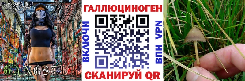 Галлюциногенные грибы Magic Shrooms  Купить закладки  Лабинск 